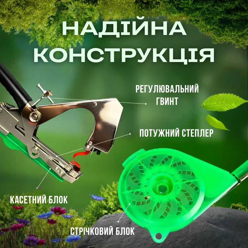 Описание изображения