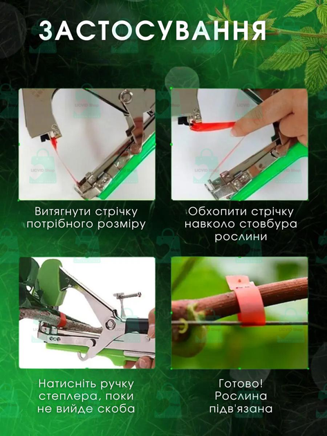 Описание изображения
